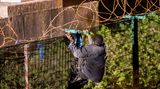 Flüchtlinge am Eurotunnel: An den scharfen Metallkanten hängen noch Stoffreste der Kleidung anderer Flüchtlinge.