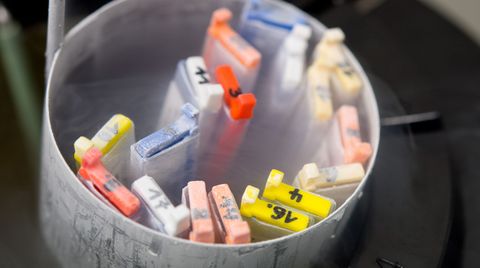 Kassetten mit eingefrorenen Eizellen lagern in einem Labor