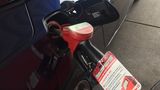 BMW Z4 sDrive 20i - neun Liter Verbrauch sind gerade noch akzeptabel