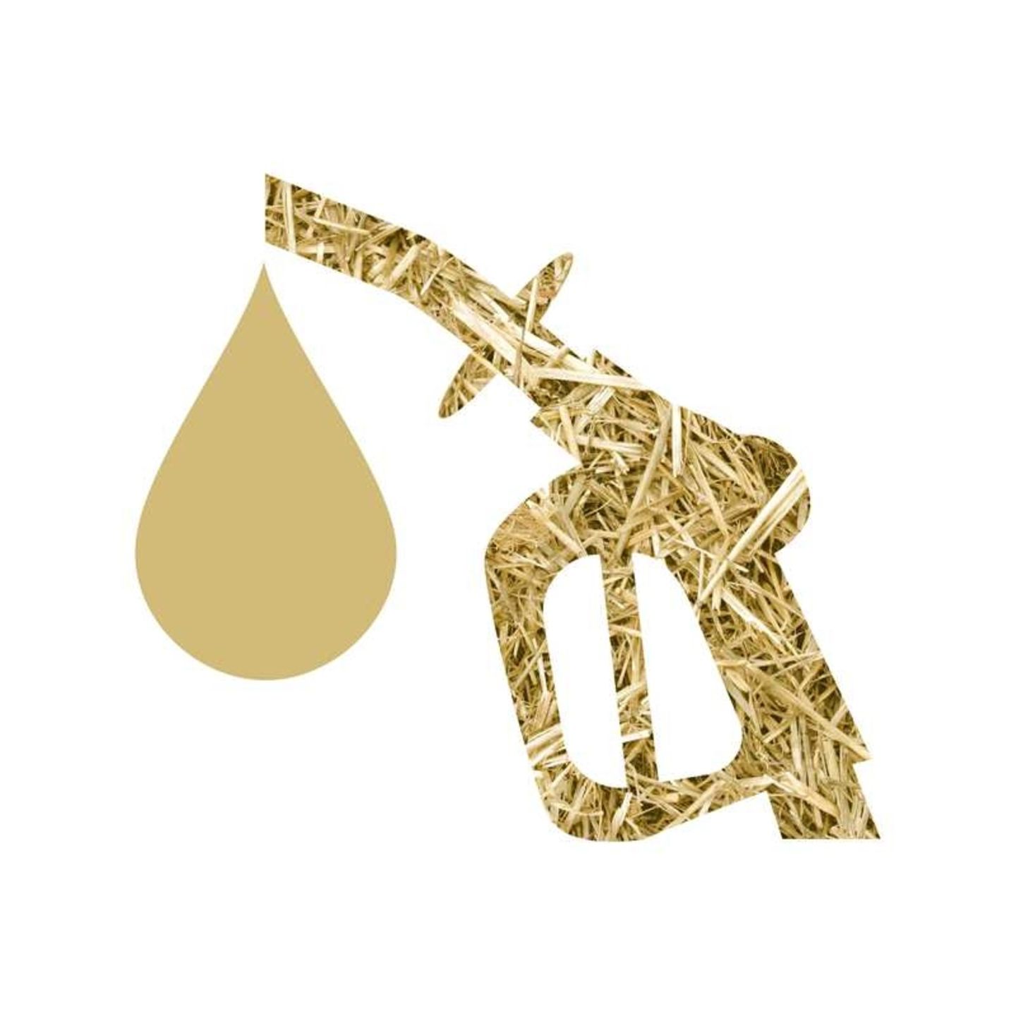 Für einen Liter Ethanol sind 2,4 Kilogramm Körnermais notwendig.