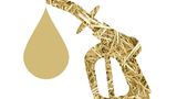 Für einen Liter Ethanol sind 2,4 Kilogramm Körnermais notwendig.