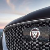 Der Kühlergrill ist charakteristisch