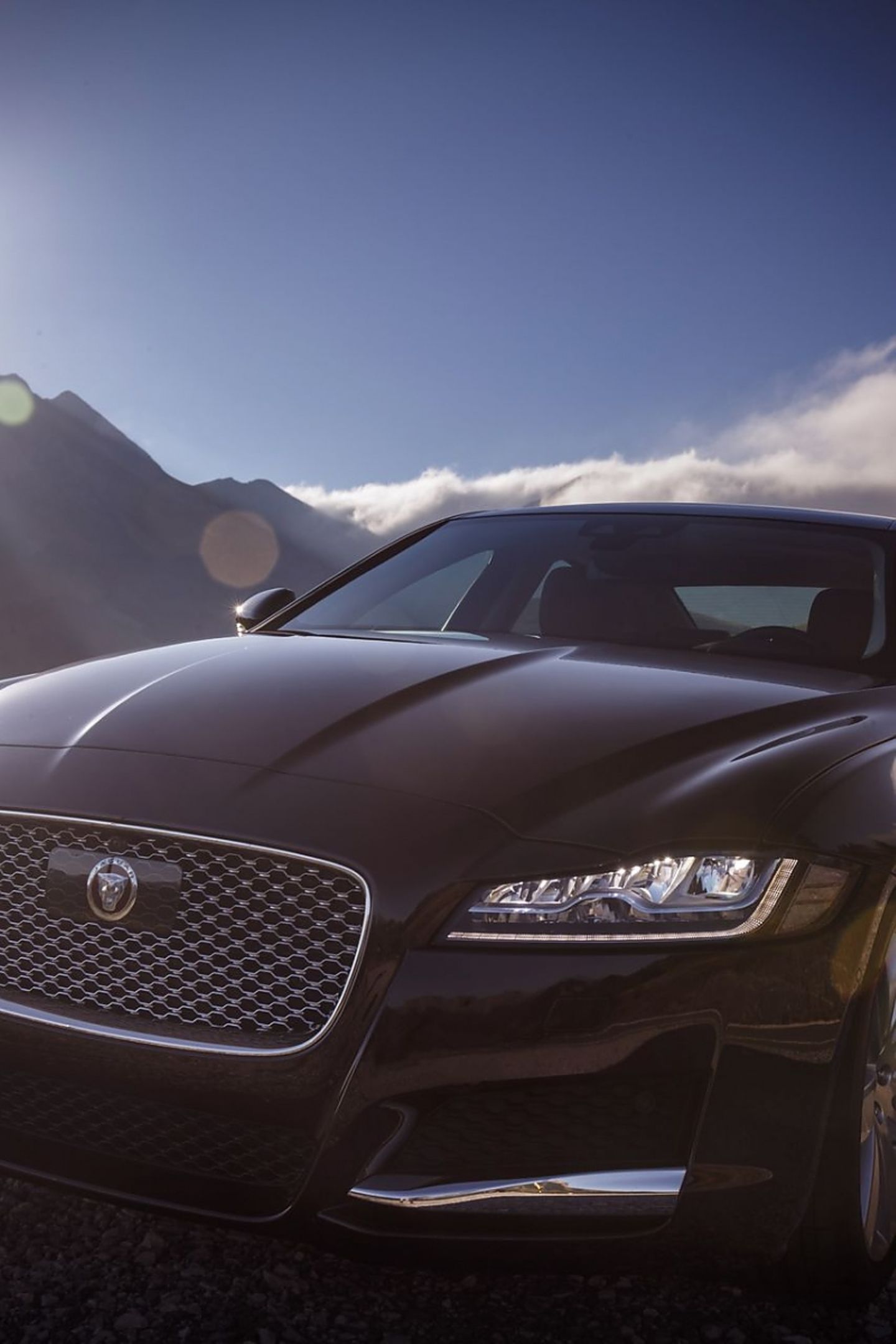 Die Front trägt das typische neue Jaguar-Gesicht