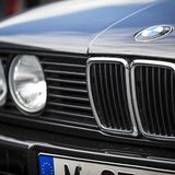 Bis heute typisch: die Niere