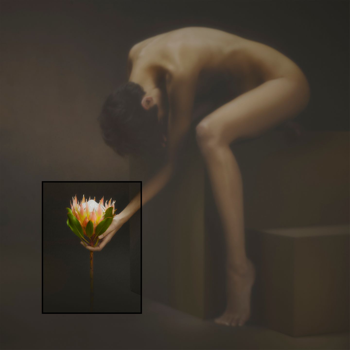 Roarie offering a Flower