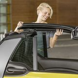 : Die Dachholme sind entfernbar