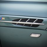 Die seitlichen Kiemen sind verchromt