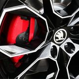 Die roten Bremssättel gehören dazu