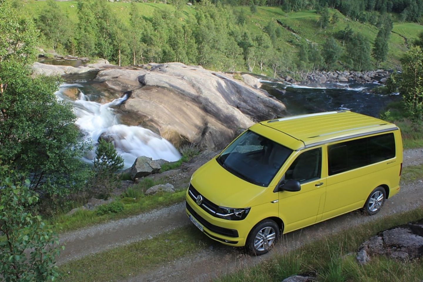 VW T6 California