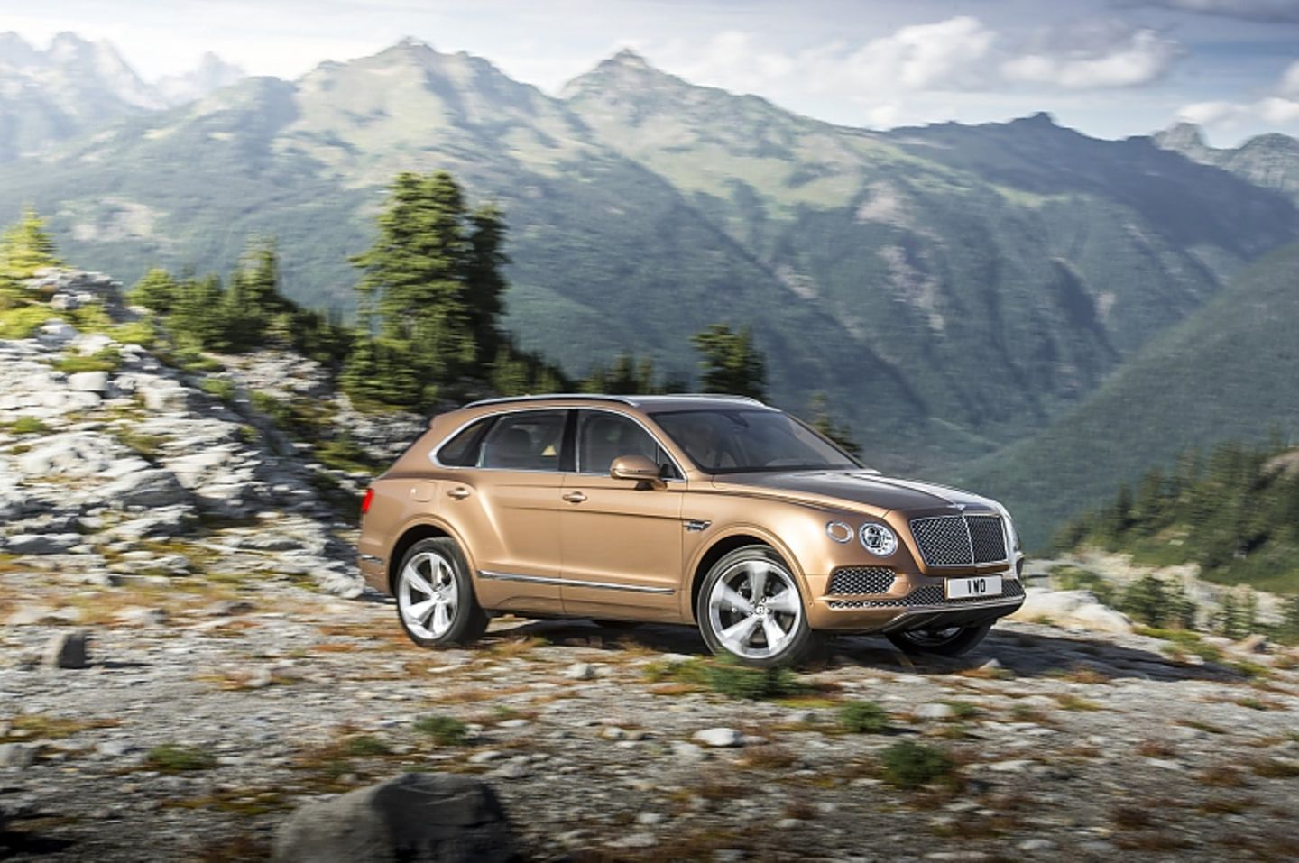 Bentley Bentayga über Stock und Stein