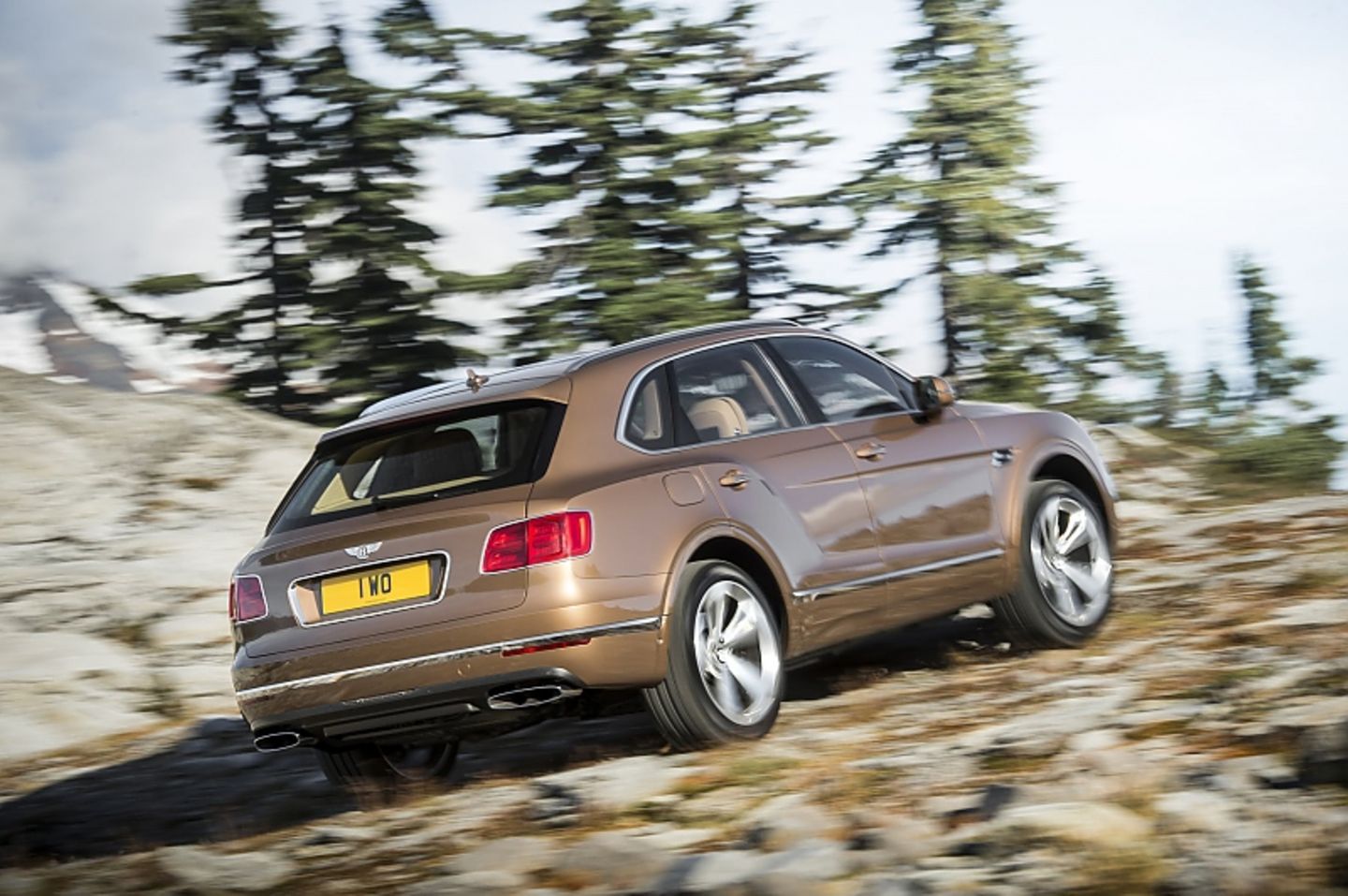 Der Bentley Bentayga 6.0 W12 im Gelände