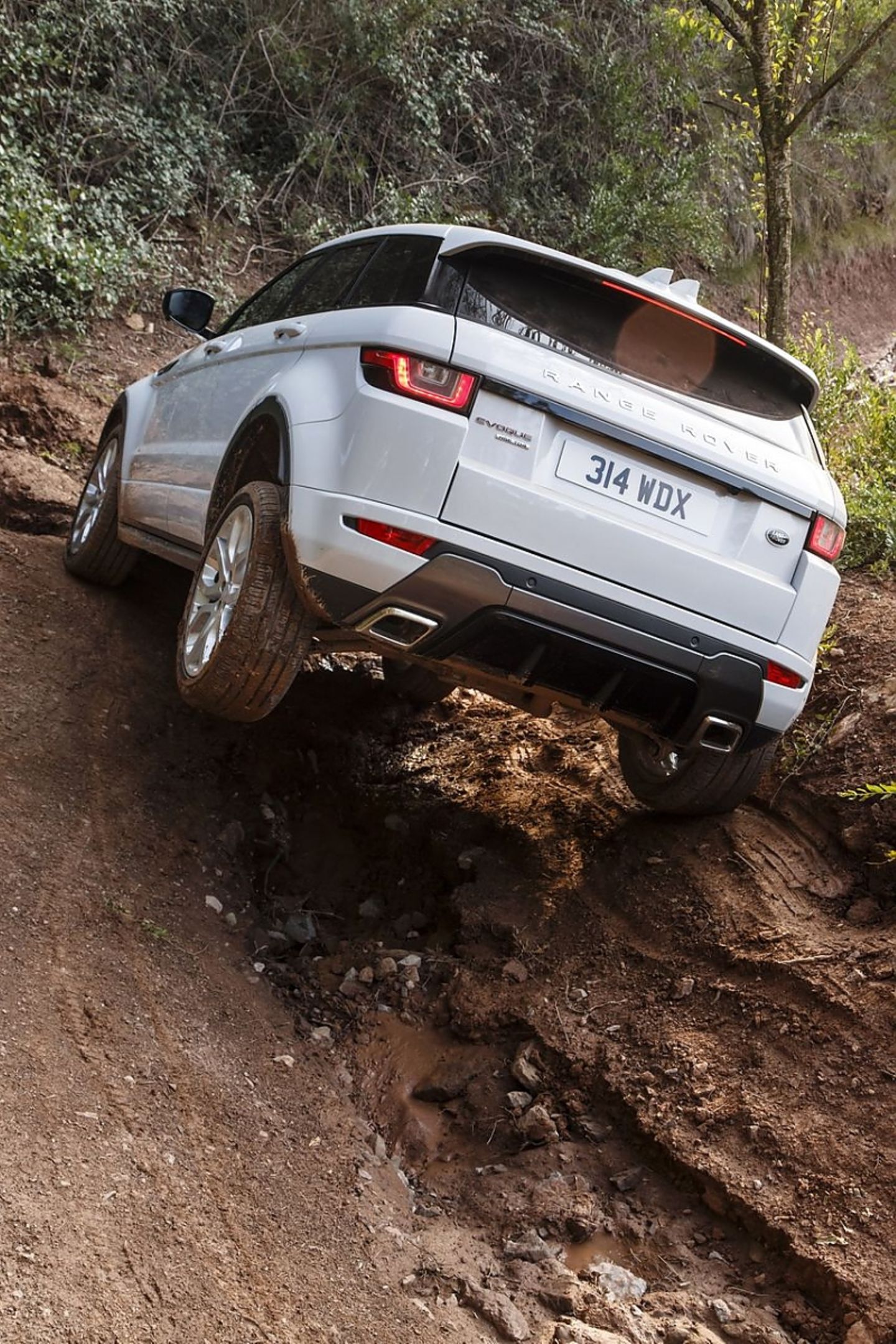 Im Gelände zeigt der Evoque seine Stärke