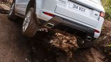 Im Gelände zeigt der Evoque seine Stärke