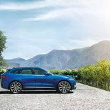 Bis zu 250 km/h ist er schnell.