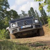 Er kommt nahezu überall hoch.