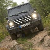 600 Newtonmeter ist er stark.