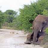 Da kann man auch schon mal einen Fünftonner übersehen...