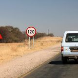 Vorsicht vor den Warzenschweinen - und das bei Tempo 120.