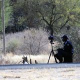 Ja, gelasert wird auch hier.