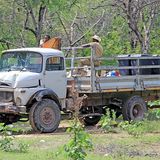 In Namibia fährt alles, was vier Reifen hat.