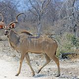 Hier heißt es besser bremsen.