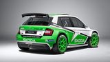 Die grün-weiße Kriegsbemalung verleiht dem Fabia R5 eine martialische Optik