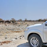 In der Wildnis ist er zuhause.