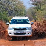 Matsch gehört zu seinem natürlichen Lebensraum.