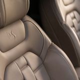 In den Sitzen findet sich das DS-Logo