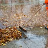 Wer ein Einfamilienhaus angemietet hat, findet meistens in seinem Mietvertrag einen Hinweis darauf, dass die Pflicht zum Laubfegen beim Mieter liegt. Das nasse Laub dürfen Sie übrigens nicht in den Wald fahren - das ist verboten. Das Verbrennen im Garten ist in einigen Bundesländern möglich. Die jeweilige Gemeinde kann hier Auskunft geben. 
