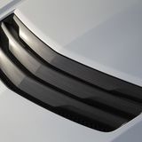 Lüftungsgitter auf der Motorhaube