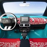 Citroen Cactus M Concept