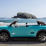 Citroen Cactus M Concept