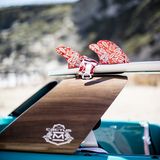 Citroen Cactus M Concept