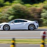 Die Nippon-Flunder ist bis zu 305 km/h schnell