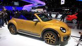 VW Beetle Dune