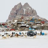 Schlittenhunde, Neuschnee und Felsgipfel