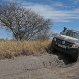 Der Amarok schlägt sich wacker