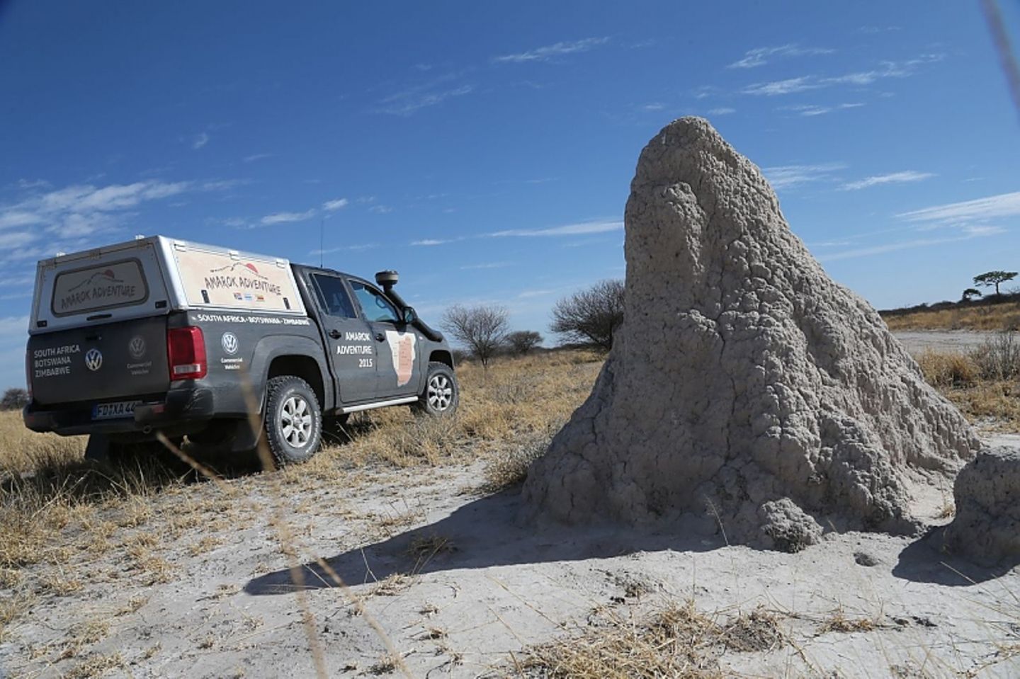 Riesige Termitenhügel zieren die Kalahari Wüste