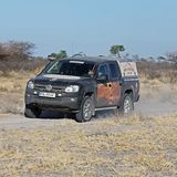 Die Kalahari Wüste ist 400 Kilometer lang und 250 Kilometer breit