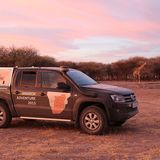 Die Sonnenuntergänge in der Kalahari-Wüste sind malerisch