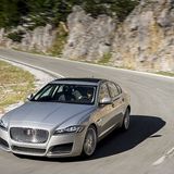 Die Raubkatze liegt gut in der Kurve