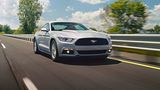 Der Mustang liegt gut auf der Straße