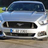 Das Wildpferd hat viel Überholprestige