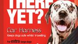 Der Mikki Hundegurt fixiert den treuen Vierbeiner auf der Rücksitzbank und lässt dem Hund Bewegungsfreiheit