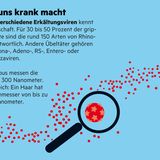 Infografik "Sehen und Verstehen": Erkältung: Wie sie entsteht und was uns schützt