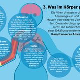 Infografik "Sehen und Verstehen": Erkältung: Wie sie entsteht und was uns schützt