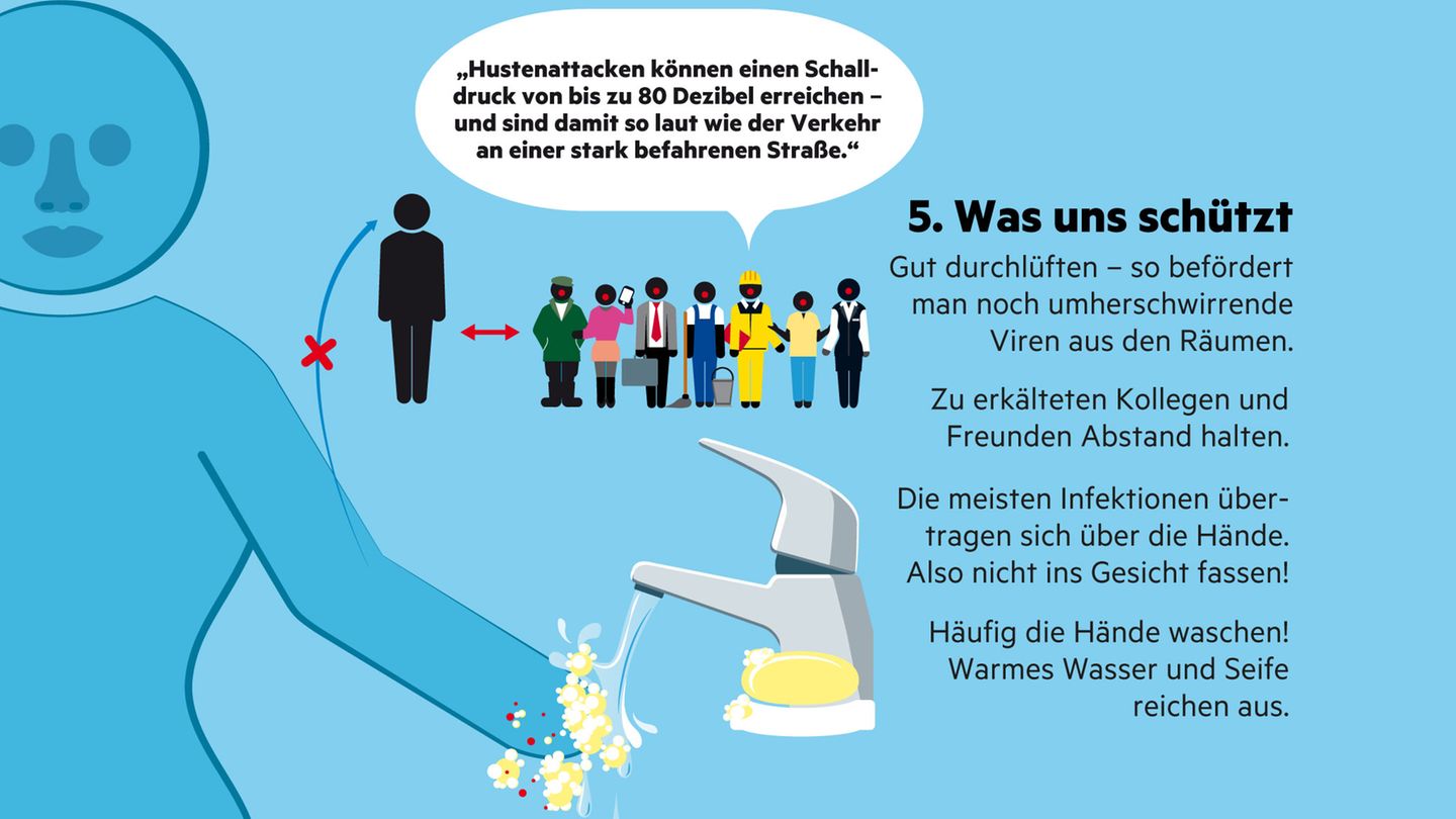 Infografik "Sehen und Verstehen": Erkältung: Wie sie entsteht und was uns schützt