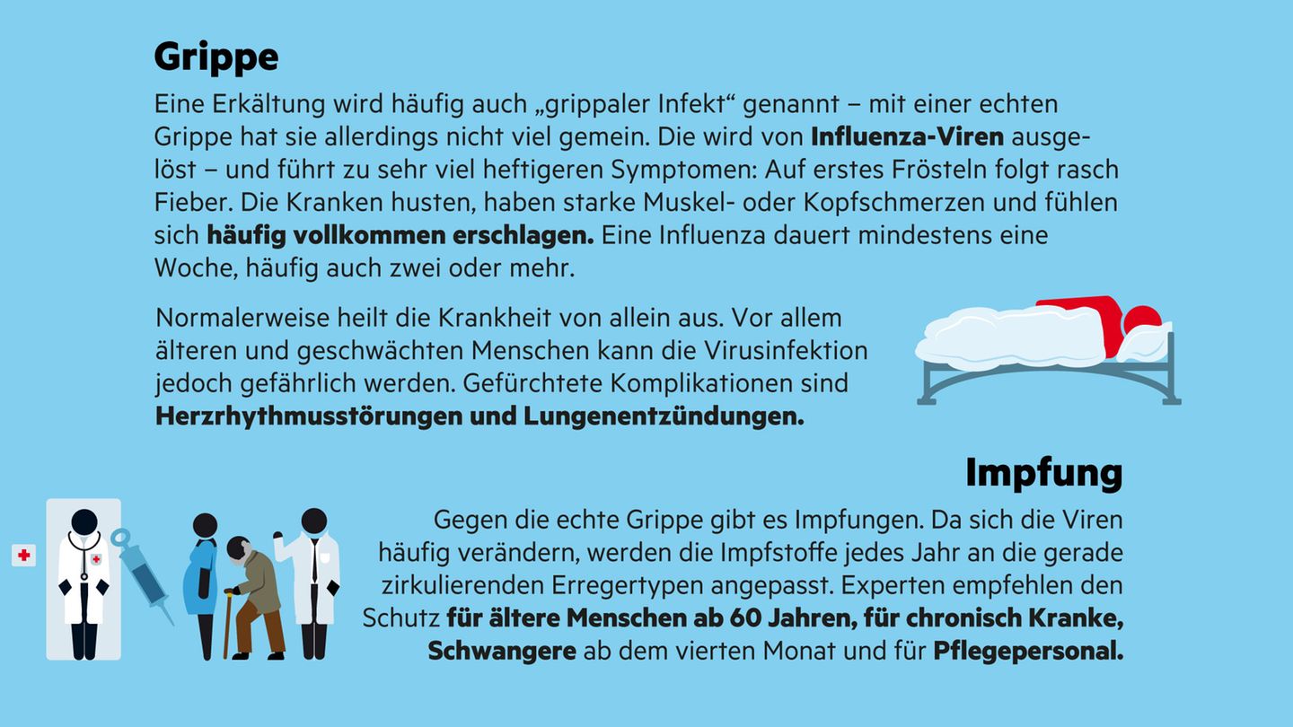 Infografik "Sehen und Verstehen": Erkältung: Wie sie entsteht und was uns schützt