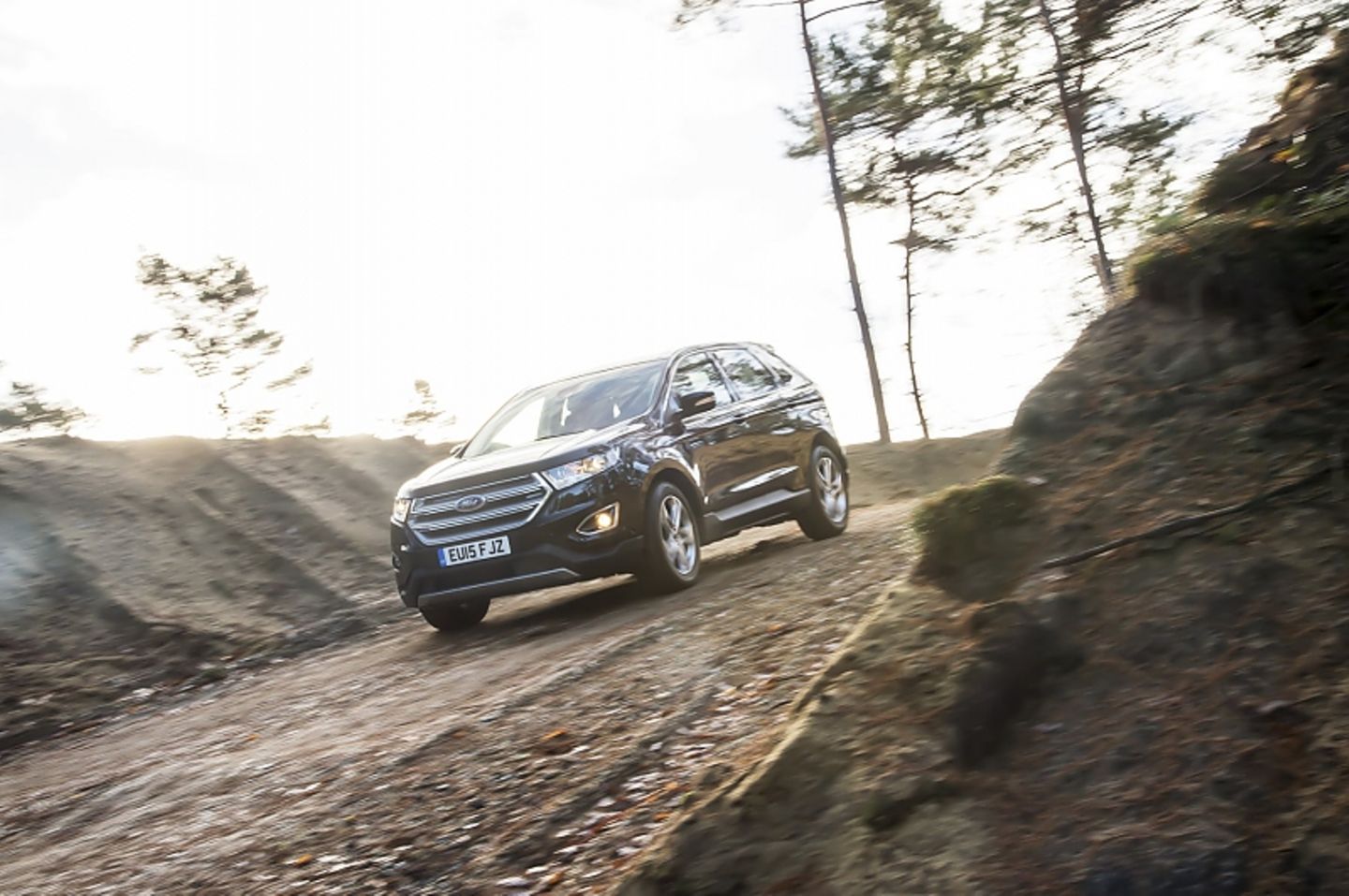 Ford Edge 2.0 TDCi